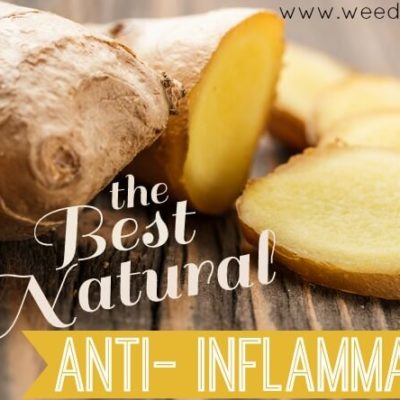 The BEST Natural Anti-Inflammatory