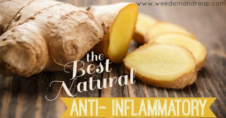 The BEST Natural Anti-inflammatory