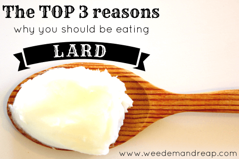 top-3-reasons-why-you-should-eat-lard