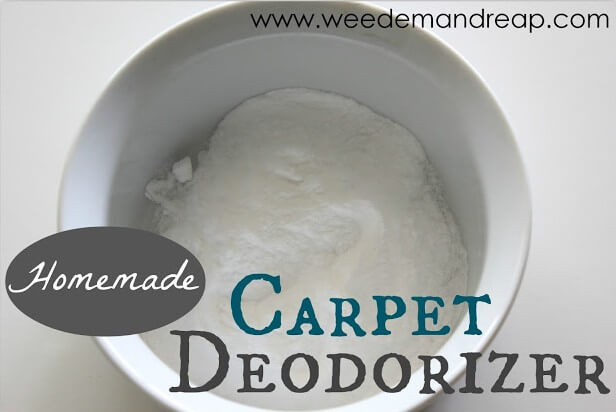 homemade-carpet-deodorizer
