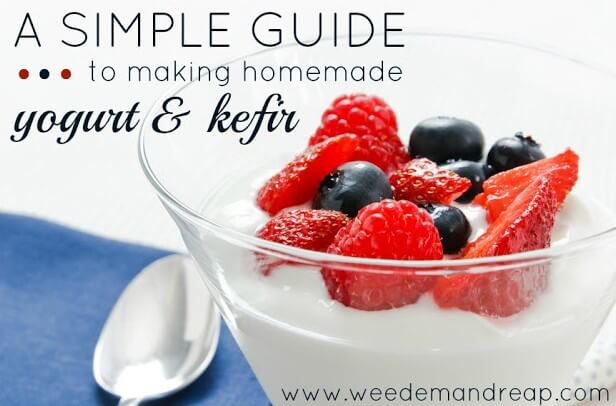 simple-guide-yogurt-kefir