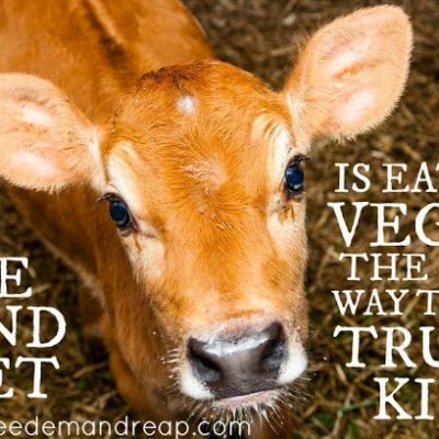 The Kind Diet: Is eating VEGAN the only way to be truly kind?