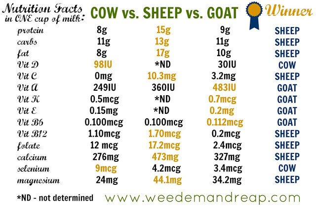 nutrition facts of cow milk, sheep milk and goat milk