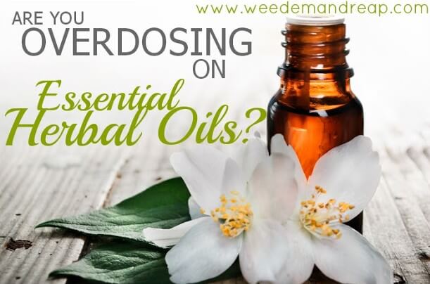 overdosing-essential-herbal-oils