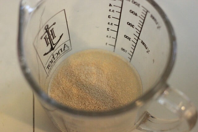 prepared yeast in a glass measuring cup