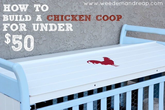 Chicken coops under 
