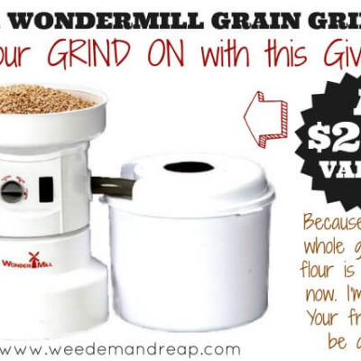 Win a Wondermill Grain Grinder!