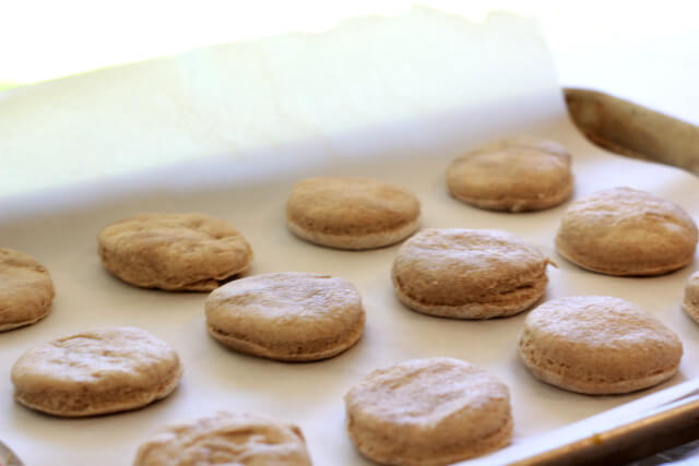 Recipe: Whole-Wheat Soaked Biscuits