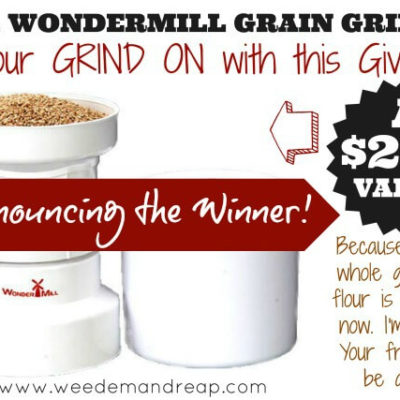 Announcing the winner of the Wondermill Grain Grinder!