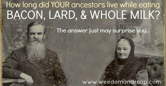 How Long Did YOUR Ancestors Live While Eating Bacon, Lard & Whole Milk? | Weed 'Em and Reap