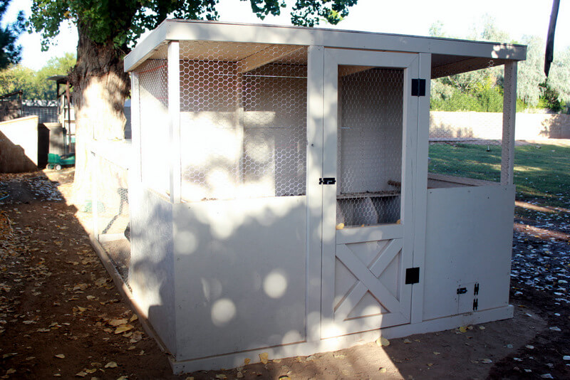 white enclosed chicken coop
