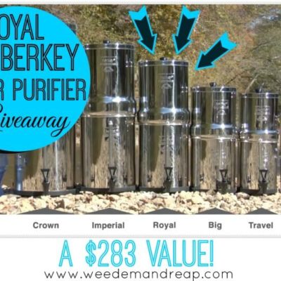 GIVEAWAY: Royal Berkey Water Purifier ($283 Value)