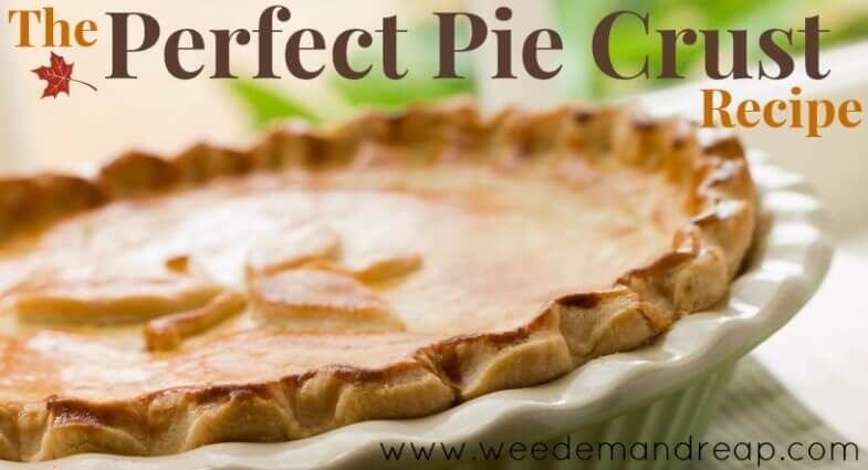The PERFECT Pie Crust Recipe!