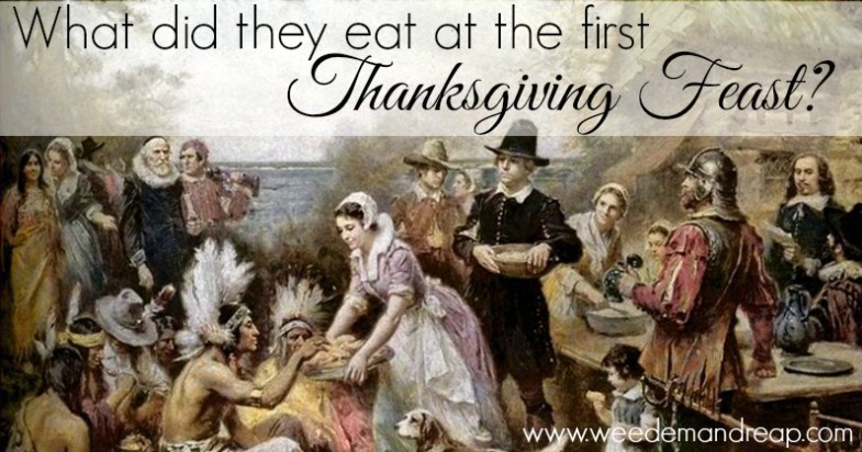 What did they eat at the first Thanksgiving Feast?
