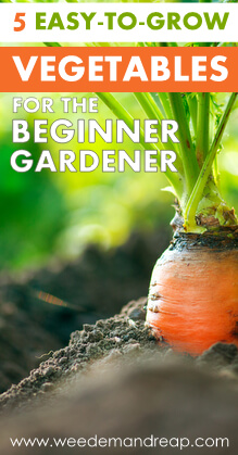 5 Easy-to-Grow Vegetables for the Beginner Gardener || Weed 'Em And Reap