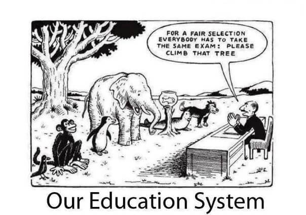 political cartoon about the educational system