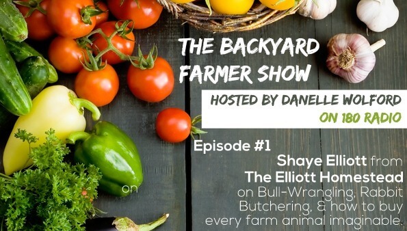The Backyard Farmer Show - Episode #1: Shaye Elliott of The Elliott Homestead on Bull-Wrangling, Rabbit Butchering, & how to buy every farm animal imaginable.