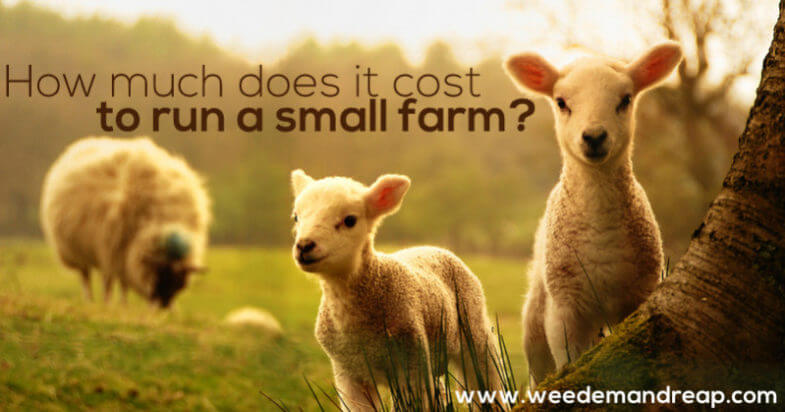 How much does it cost to run a small farm? || Weed 'Em and Reap