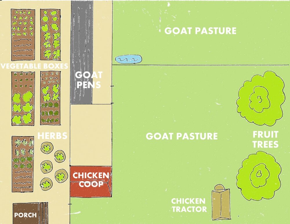 backyard farm plan for a quarter acre backyard
