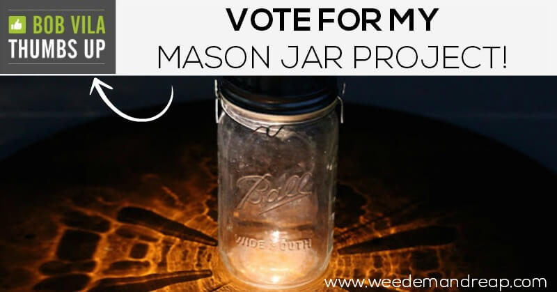 Vote for my Mason Jar Project!