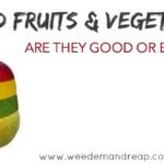 Hybrid Fruits & Vegetables good or bad