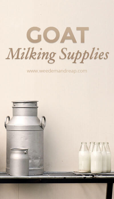 Goat Milking Supplies || Weed 'Em and Reap