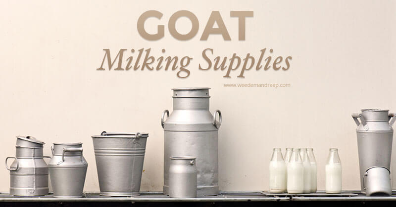 Goat Milking Supplies | Weed 'Em and Reap