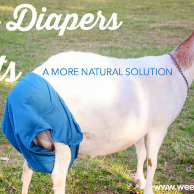Cloth Diapers for Goats: A more natural solution