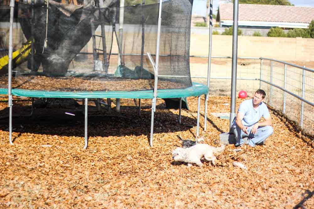 man playing with small white dog near a trampoline