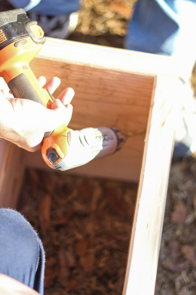 closeup of hands drilling the interior of a garden box