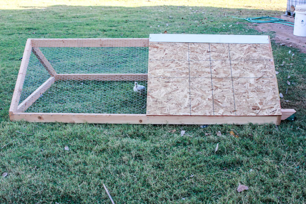 side view of chicken tractor with small white bird inside