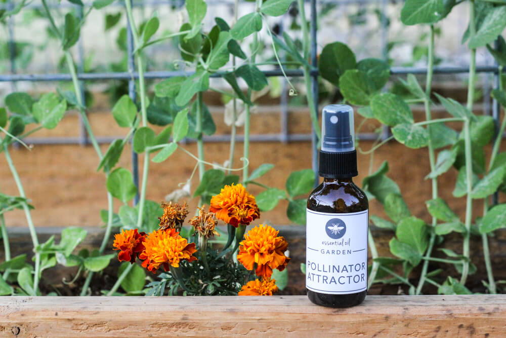bottle of essential oil pollinator attractor resting on a gardening shelf