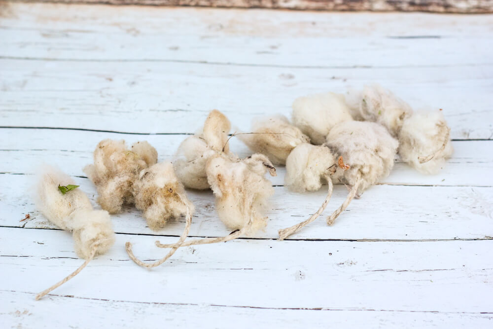 row of wool tampons on white wooden floor