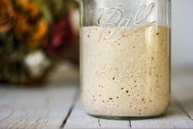 How to make a Wild Yeast Starter {To Rise Bread Naturally} | Weed 'Em and Reap