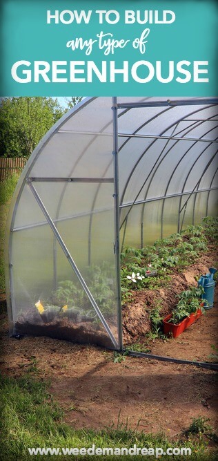 diy-greenhouse-how-to-build