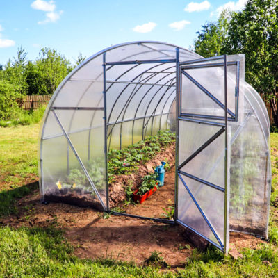How to Build a Greenhouse! {everything you need to get started}