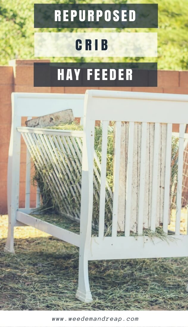 DIY hay feeder