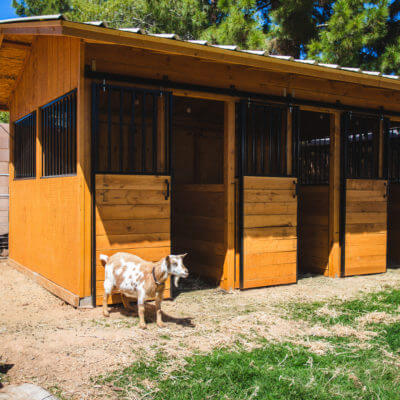 Our Custom Goat Barn!