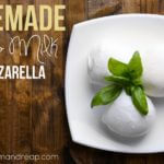 goat-milk-mozzarella