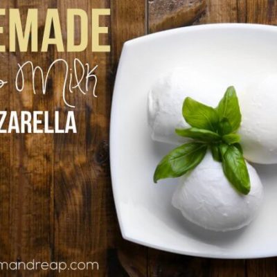 Recipe | Homemade Goat’s Milk Mozzarella