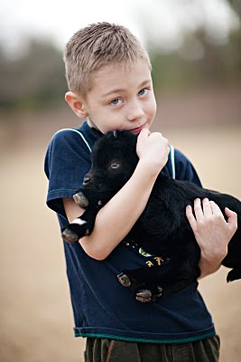 Little Goaties