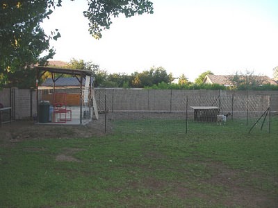 The &quot;Animal Area&quot;