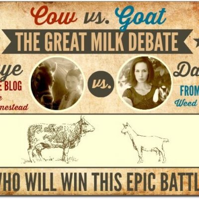 Cow vs. Goat: The Great Milk Debate (Part 1)