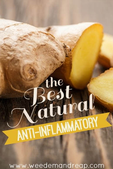 The BEST Natural Anti-Inflammatory