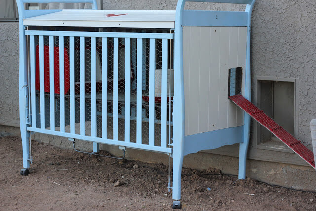 How to build a Chicken Coop for under $50
