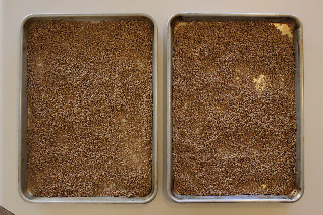 How to make Sprouted Wheat Flour
