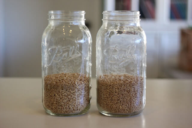 How to make Sprouted Wheat Flour