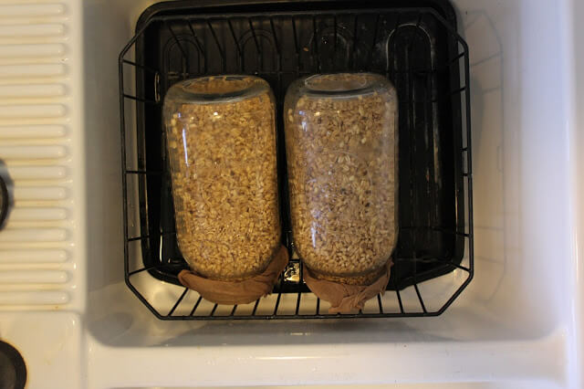 How to make Sprouted Wheat Flour