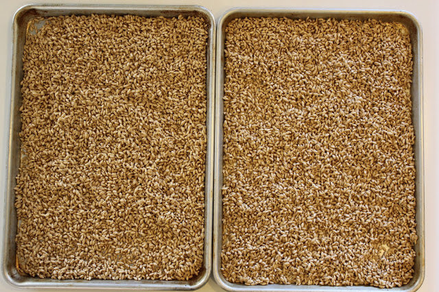 How to make Sprouted Wheat Flour