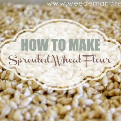 How to make Sprouted Wheat Flour